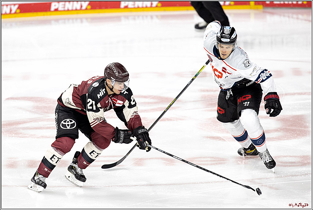 PENNY DEL;  Koelner Haie - Nuernberger Ice Tigers; Koeln, 25.03.2021